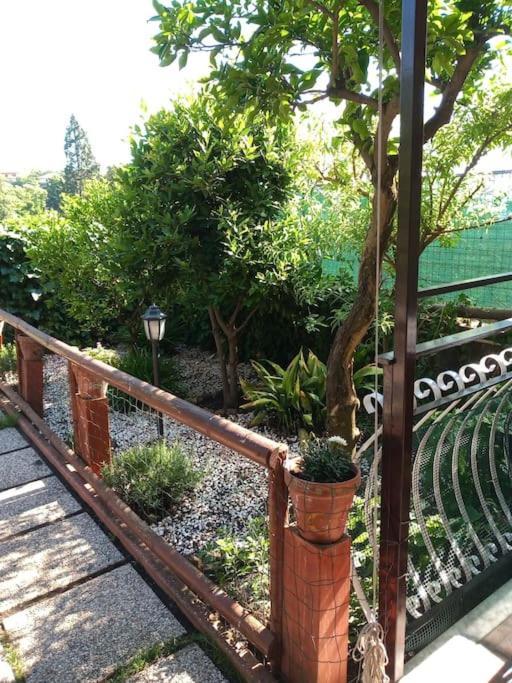 Loft Sotto Il Vulcano, Con Posto Auto Privato Zafferana Etnea Ngoại thất bức ảnh